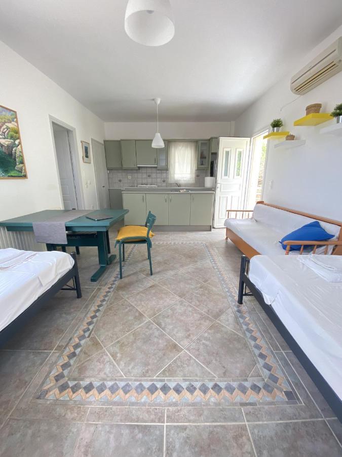 Andros Vineyard House With Sea View Lejlighed Sineti Eksteriør billede